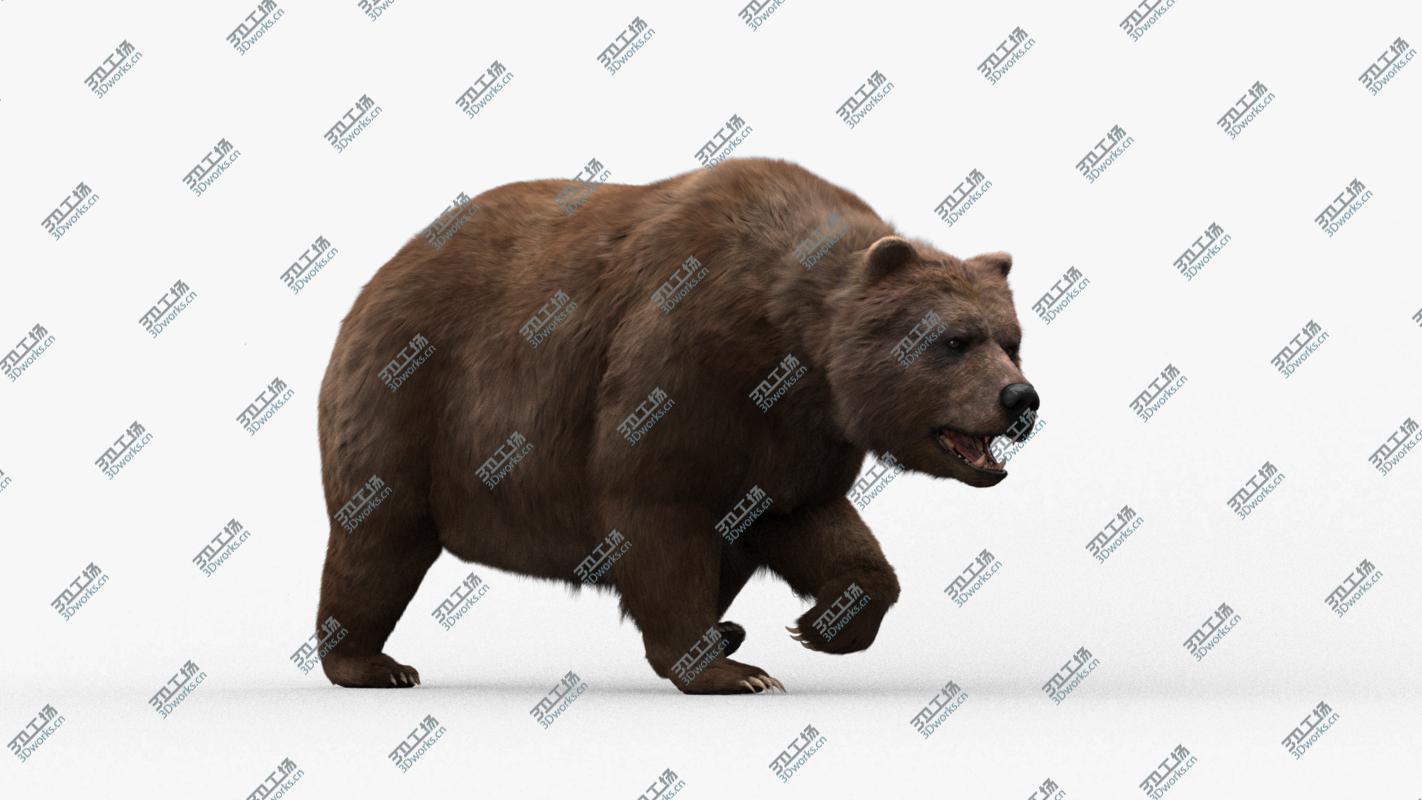 images/goods_img/202104091/3D model Bear Animated/2.jpg